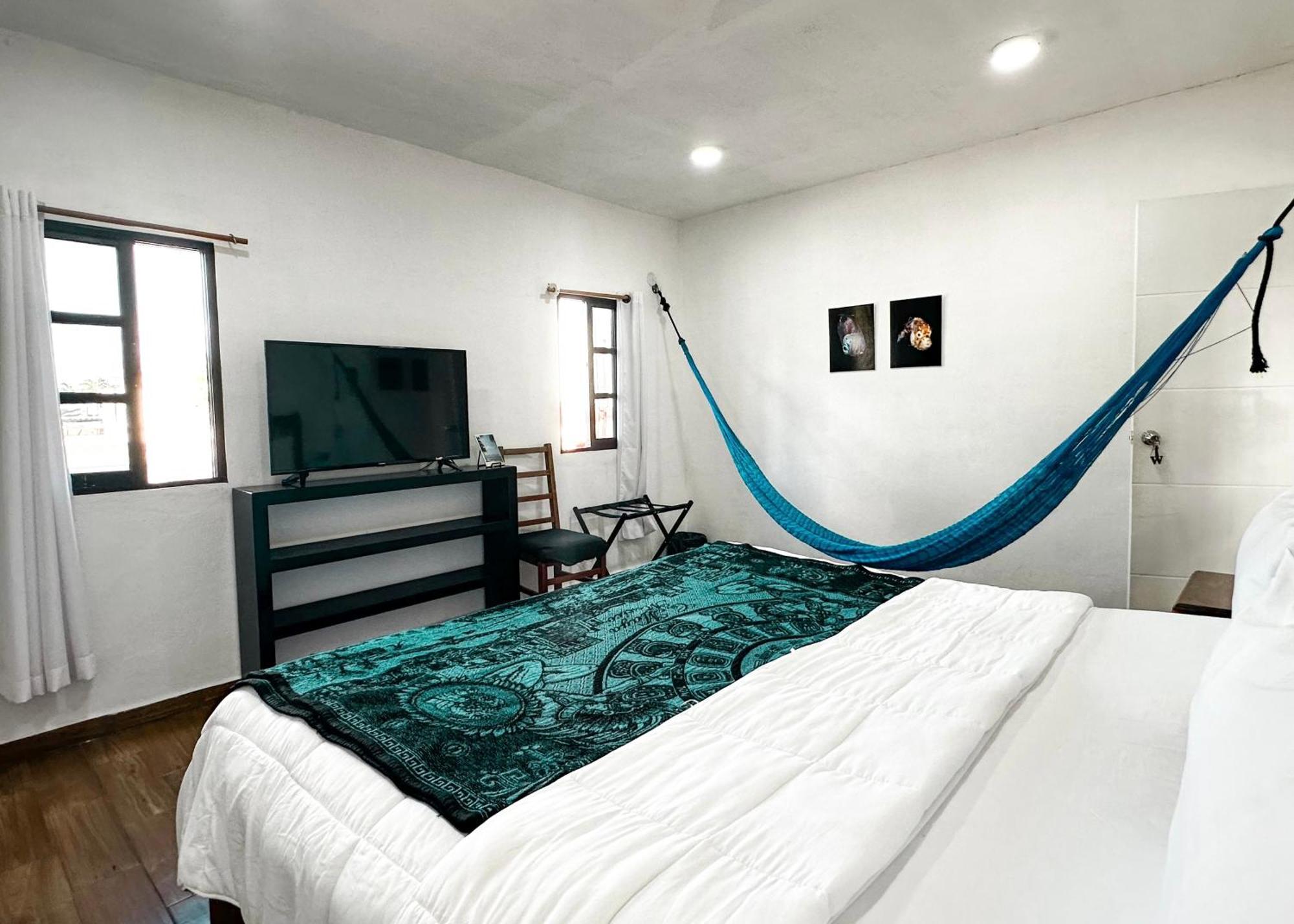 La Perle Noire - Dive Hotel Cozumel Buitenkant foto